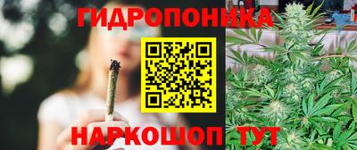 прущие крисы Жуковский