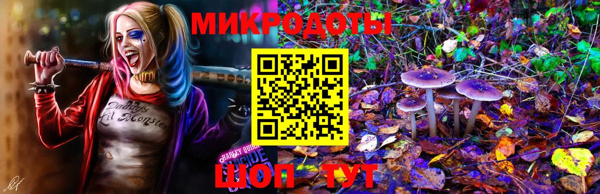 Псилоцибиновые грибы Psilocybine cubensis Ликино-Дулёво